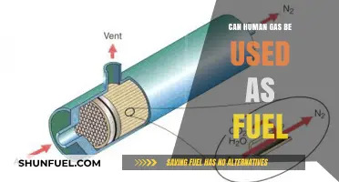 Exploring the Potential of Human Gas as Renewable Fuel Source