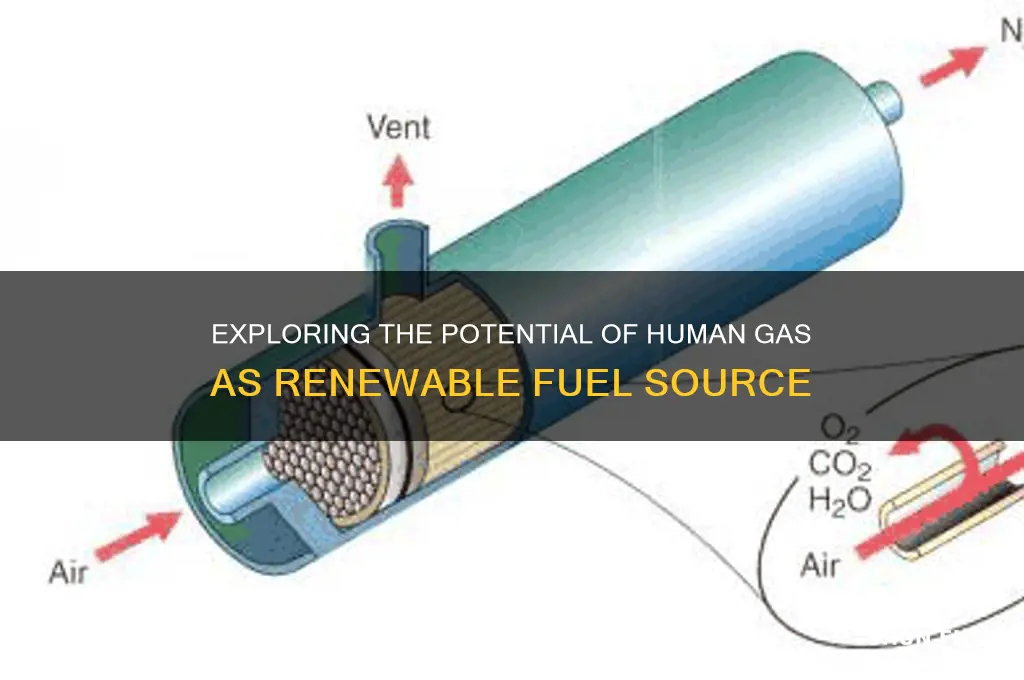 can human gas be used as fuel