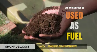 Human Waste to Energy: Can Poop Power Our Future?