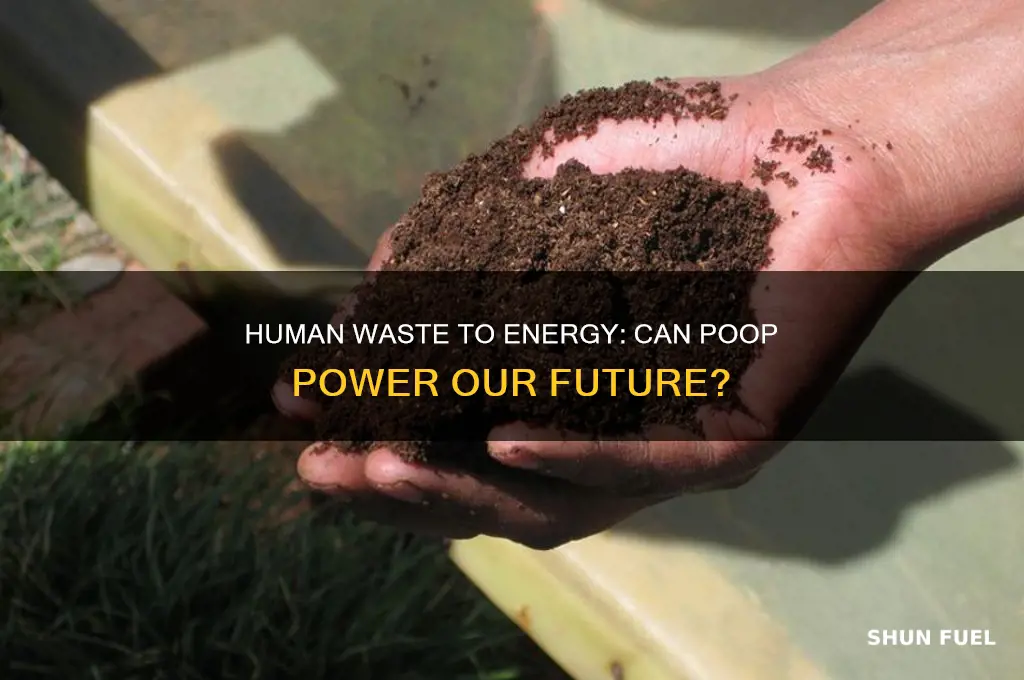 can human poop be used as fuel