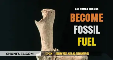 How Human Remains Become Fossil Fuel