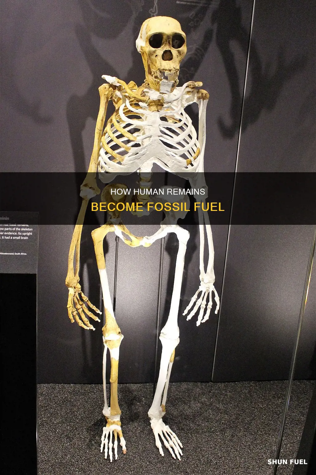 can human remains become fossil fuel