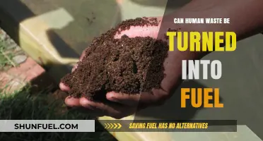 Transforming Human Waste into Sustainable Fuel: A Green Energy Revolution