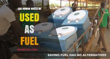 Turning Human Waste into Fuel: A Sustainable Energy Solution?