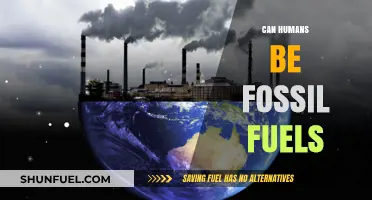 How Fossil Fuels Impact Human Health