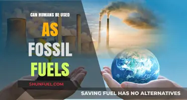 Exploring the Ethical and Scientific Implications of Human Fossil Fuel Potential