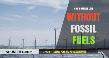 Living Without Fossil Fuels: A Possible Future?
