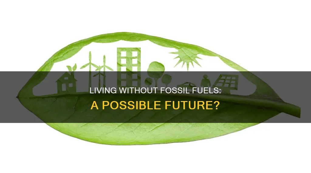 can humans live without fossil fuels