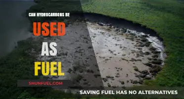 Hydrocarbons as Fuel: Exploring Their Potential and Environmental Impact