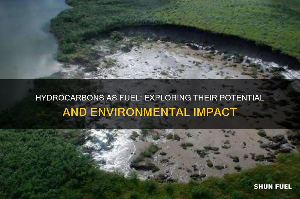 can hydrocarbons be used as fuel