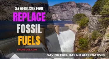 Hydroelectric Power: A Green Alternative to Fossil Fuels?
