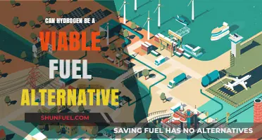Hydrogen Fuel: A Sustainable Energy Solution for the Future?
