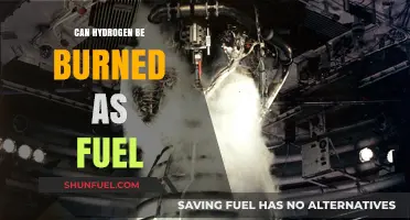 Hydrogen Fuel: Clean Burning Potential and Future Energy Applications