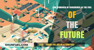 Hydrogen Fuel: The Future of Clean Energy?