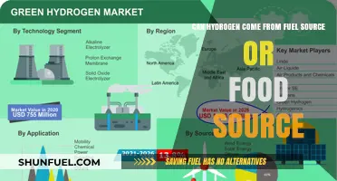 Hydrogen Production: Fuel or Food Sources – Exploring Sustainable Options