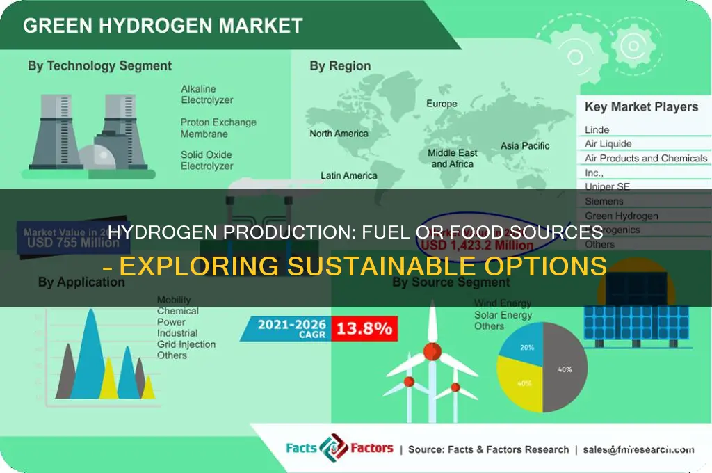can hydrogen come from fuel source or food source