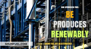 Renewable Hydrogen Fuel: Sustainable Production Methods and Future Potential