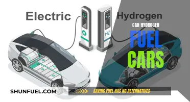 Hydrogen's Promise: Powering the Future of Sustainable Transportation