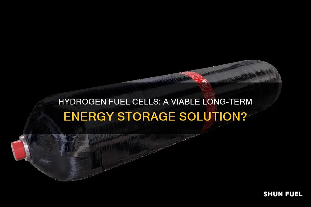 can hydrogen fuel cells be stored for the future