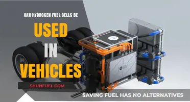 Hydrogen Fuel Cells: A Viable Future for Vehicle Power?