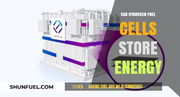Hydrogen Fuel Cells: Efficient Energy Storage Solution for a Sustainable Future