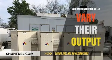 Hydrogen Fuel Cells: Understanding Output Variability and Flexibility