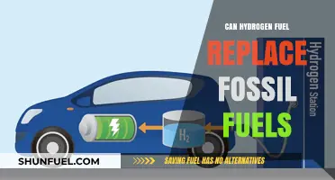 Hydrogen Fuel: The Green Energy Revolution