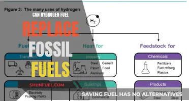 Hydrogen Fuel: A Viable Alternative to Fossil Fuels?