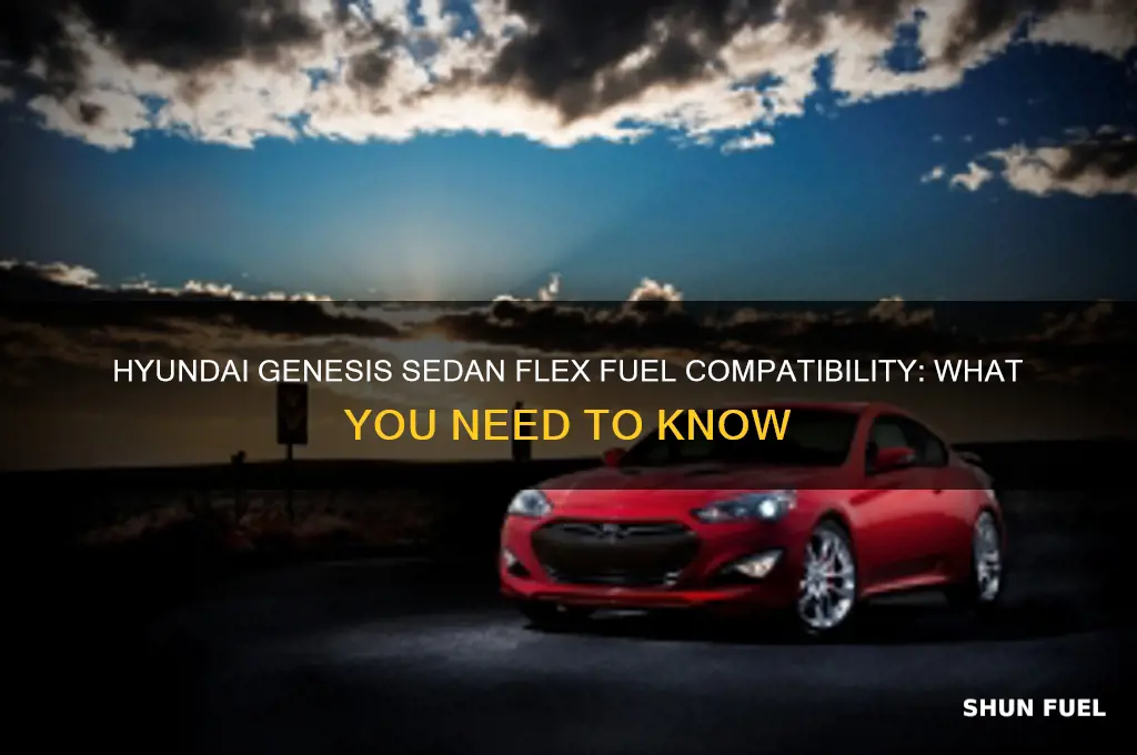 can hyundai genesis sedan use flex fuel