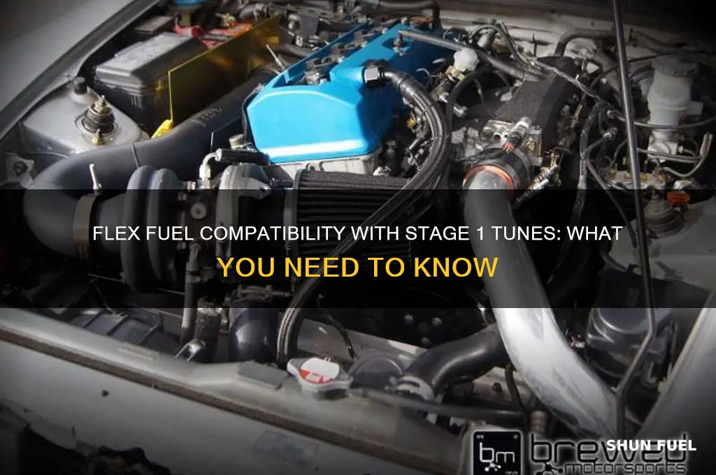 can i add flex fuel to a stage 1 tune