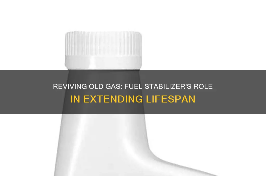 can i add fuel stabilizer to old gas