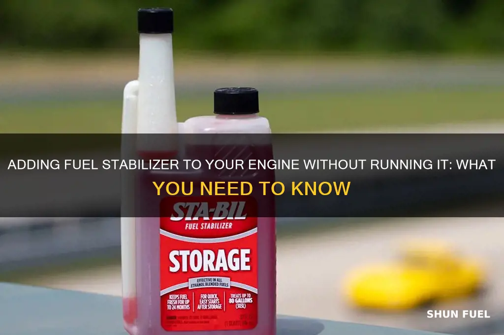 can i add fuel stabilizer without running motor