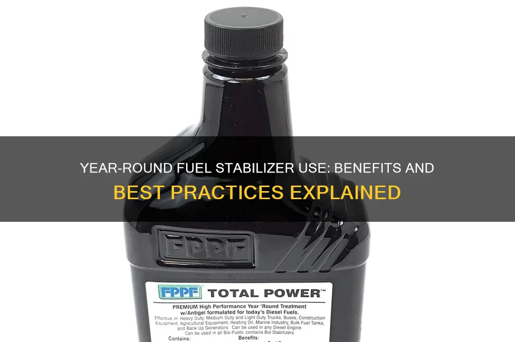 can i add fuel stabilizer year around