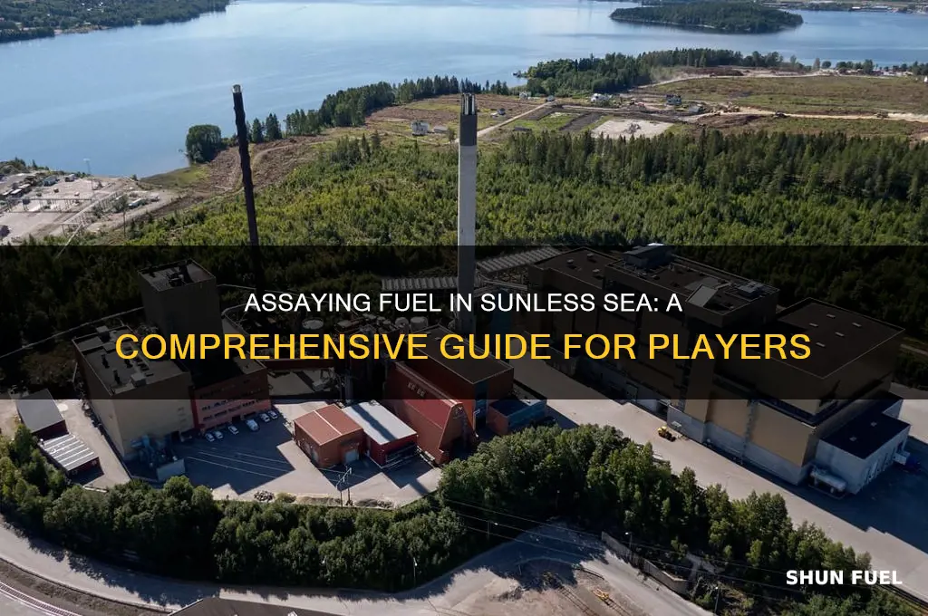 can i assay 1 fuel sunless sea
