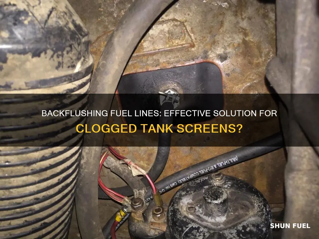 can i backflush fuel lines to unclog a tank screen
