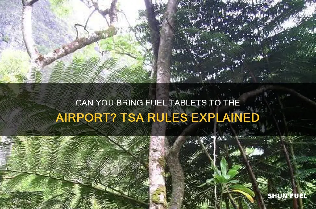 can i bring fuel tablet to airport