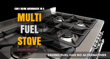 Burning Anthracite in Multi-Fuel Stoves: Benefits, Tips, and Best Practices
