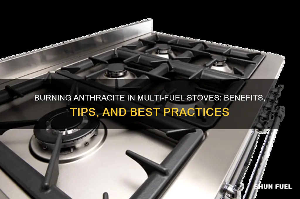 can i burn anthracite in a multi fuel stove