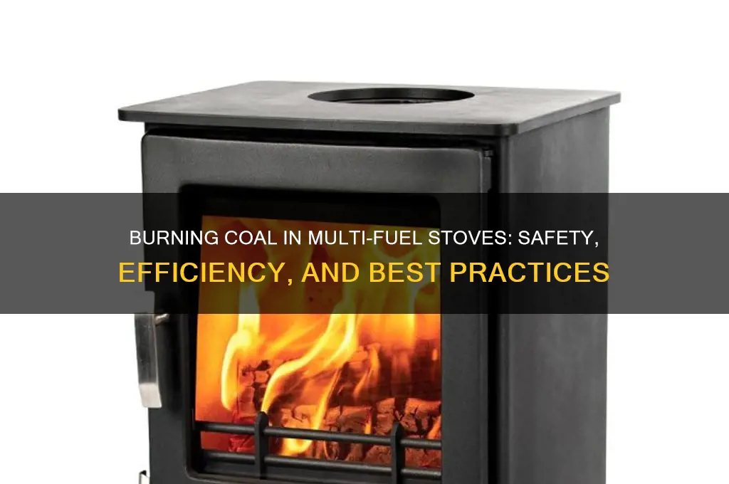 can i burn coal in a multi fuel stove