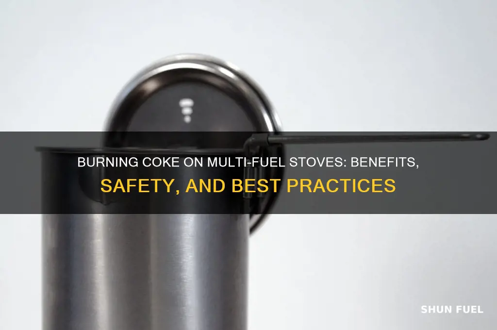 can i burn coke on a multi fuel stove