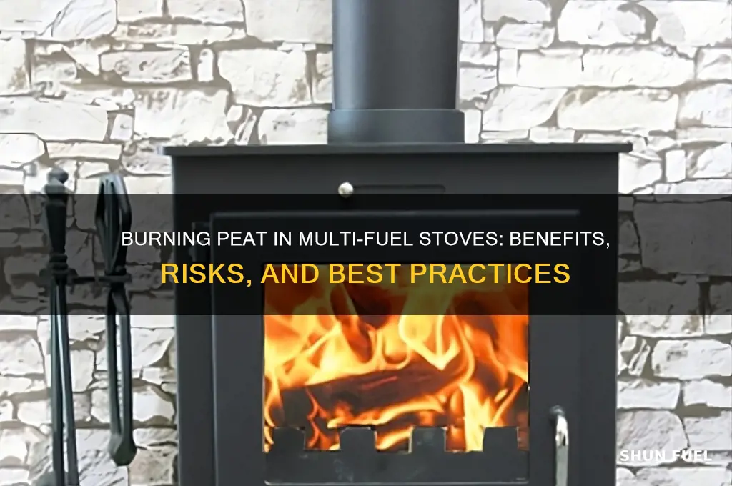 can i burn peat in a multi fuel stove