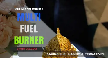 Burning Pine Cones in Multi-Fuel Burners: Safe or Risky?