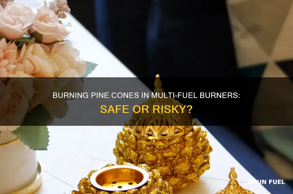 can i burn pine cones in a multi fuel burner