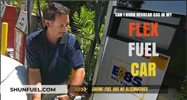 Can Regular Gas Be Used in Flex Fuel Vehicles?