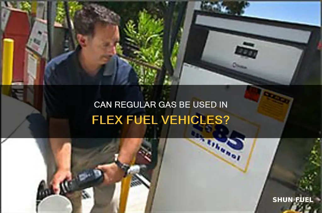 can i burn regular gas in my flex fuel car