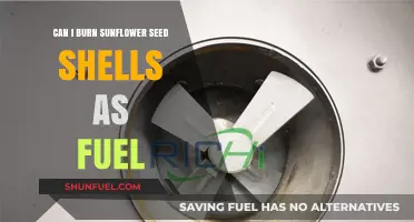 Burning Sunflower Seed Shells: A Viable Fuel Alternative?