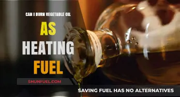 Burning Vegetable Oil for Heat: A Viable Eco-Friendly Fuel Alternative?