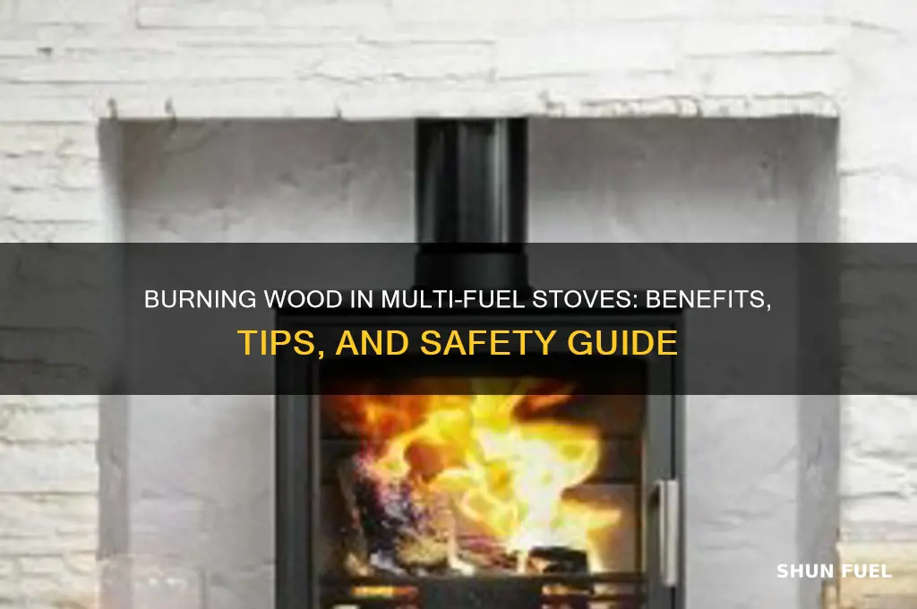 can i burn wood in a multi fuel stove