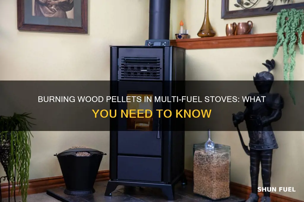 can i burn wood pellets in a multi fuel stove