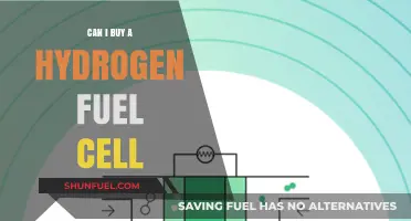 Exploring Hydrogen Fuel Cells: Can You Purchase One for Personal Use?